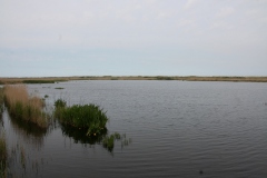 Ameland