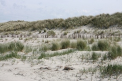 Ameland