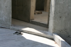 Iran (2009) Photo by Angela de Geest