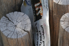 Iran (2009) Photo by Angela de Geest