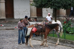 IMG_1234_mexico_guatamala_2008_angela_de_geest