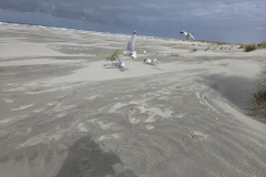 20260918_150252