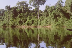 venezuela_Photo02_2_a