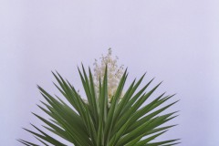 venezuela_Photo19_19_a