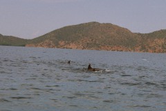 venezuela_Photo34_31_a