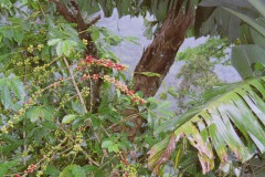 venezuela_Photo34_34_b