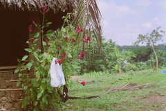 venezuela_Photo35_35_a