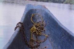 venezuela_Photo37_37_a