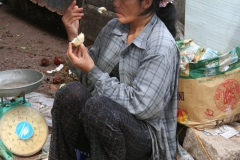 IMG_0209_vietnam_2006_angela_de_geest